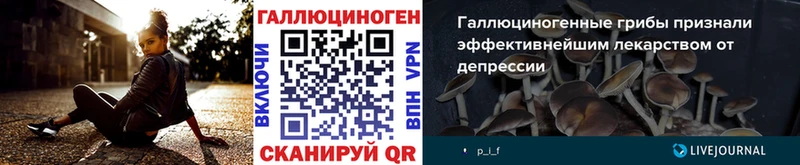 Галлюциногенные грибы Psilocybine cubensis  где найти наркотики  Луза 